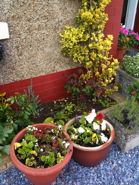 Almond House B&B Edinburgh Eksteriør billede