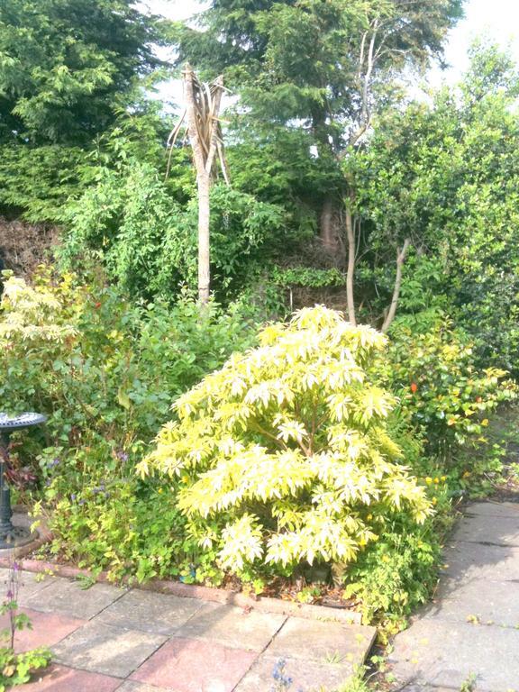 Almond House B&B Edinburgh Eksteriør billede